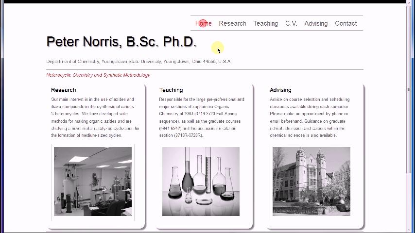 Websiteintro